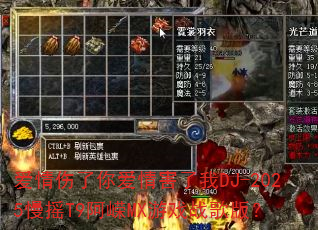 ���������㰮�麦����DJ-2025��ҡT9����MX��Ϸս��棿
