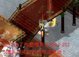 ���������㰮�麦����DJ-2025��ҡT9����MX��Ϸս��棿