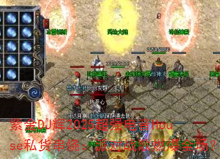 �Ͻ�DJ��2025��ǿ����House˽�����գ��ɶ�ս��ȼ��ȫ����