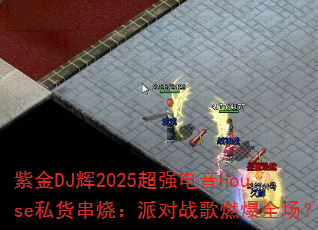 �Ͻ�DJ��2025��ǿ����House˽�����գ��ɶ�ս��ȼ��ȫ����