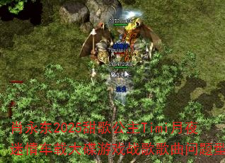 Ф����2025��蹫��Timi��ҹ���鳵�ش����Ϸս����������ʹ���