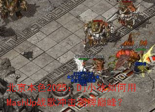 ������ɫ2025��DjС�������MashUpս���������۷壿