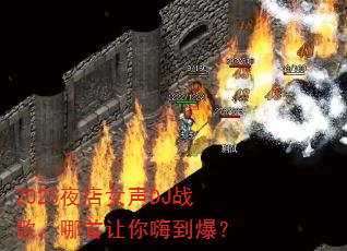 2025ҹ��Ů��DJս�裬���������˵�����