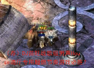 ������DJ����ս�輶����House����ר�ó�ȼ������Ϸ��ʤ��