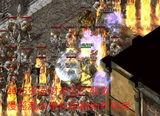 2025������񵽣�ս����ҡ���������˷��������