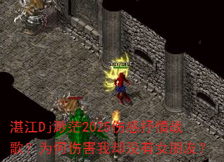 տ��Dj��ã2025�˸�����ս�裿Ϊ���˺���ȴû��Ů���ѣ�