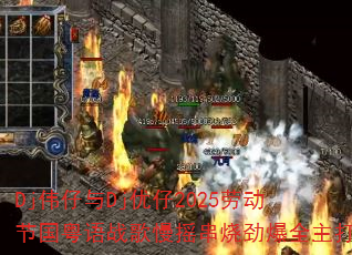 Djΰ����Dj����2025�Ͷ��ڹ�����ս����ҡ���վ���ȫ����