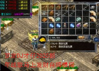 �޶�DJ����2025����ս�����Ϸ���������ҡ