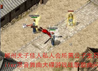 �������Ӽ���˽�˻����ƹ����������DJMiler�������������Ϸս����������ʹ�