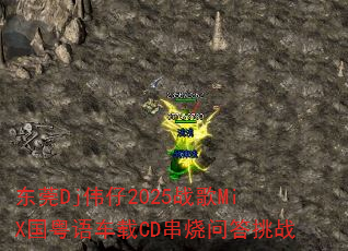��ݸDjΰ��2025ս��MiX�����ﳵ��CD�����ʴ���ս