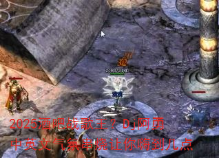 2025�ư�ս������Dj������Ӣ�����մ��������˵�����