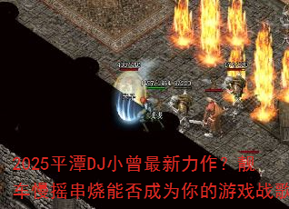 2025ƽ̶DJС������������������ҡ�����ܷ��Ϊ�����Ϸս��