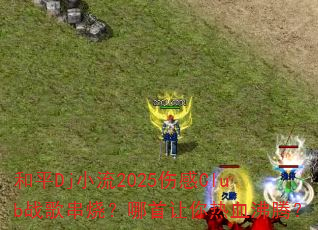 ��ƽDjС��2025�˸�Clubս�贮�գ�����������Ѫ���ڣ�