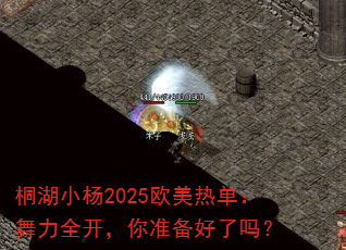ͩ��С��2025ŷ���ȵ�������ȫ������׼��������