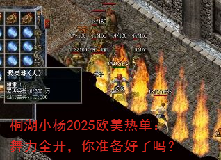 ͩ��С��2025ŷ���ȵ�������ȫ������׼��������