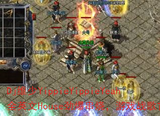 Djά��YippieYippieYeahȫӢ��House�������գ���Ϸս����ѡ��