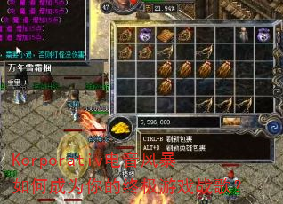 Korporativ�����籩��γ�Ϊ����ռ���Ϸս�裿