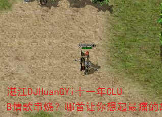 տ��DJHuanGYiʮһ��CLUB��贮�գ���������������ʹ�Ĺ���