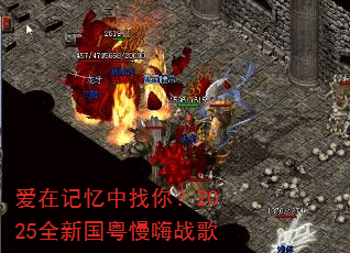���ڼ��������㣿2025ȫ�¹�������ս��