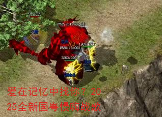 ���ڼ��������㣿2025ȫ�¹�������ս��