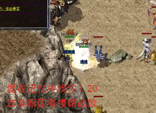 ���ڼ��������㣿2025ȫ�¹�������ս��