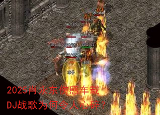 2025Ф�����˸г���DJս��Ϊ���������飿