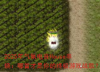 2025�����յ���House���գ����ײ�������ռ���Ϸս�裿