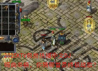 2025KTV�����Ȳ�����DJ�������գ�����������ռ�ս�裿