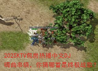 2025KTV�����Ȳ�����DJ�������գ�����������ռ�ս�裿