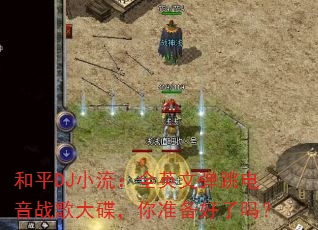 ��ƽDJС����ȫӢ�ĵ�������ս��������׼��������