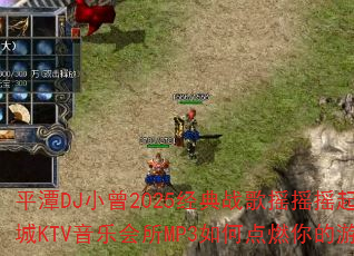 ƽ̶DJС��2025����ս��ҡҡҡ�������ϻʳ�KTV���ֻ���MP3��ε�ȼ�����Ϸս��
