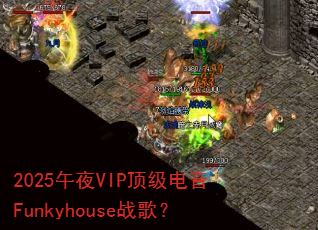 2025��ҹVIP��������Funkyhouseս�裿