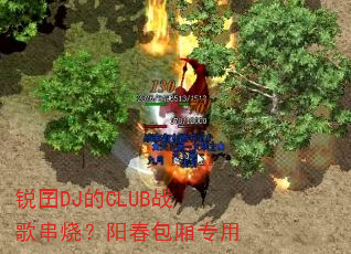 ����DJ��CLUBս�贮�գ���������ר��