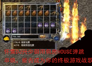 ����DJ�������ð���HOUSE�������գ��ܷ��Ϊ����ռ���Ϸս�裿