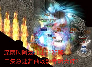 ����DJ�������2025�ڶ�����������ս��ר�������