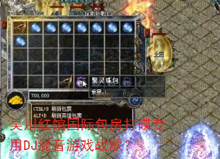 �⴨��ݹ��ʰ������ר��DJ������Ϸս�裿