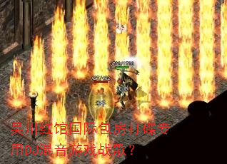 �⴨��ݹ��ʰ������ר��DJ������Ϸս�裿