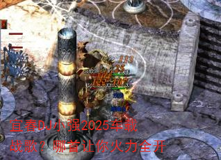 �˴�DJСǿ2025����ս�裿�����������ȫ��