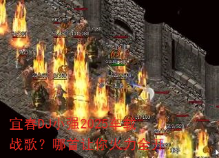 �˴�DJСǿ2025����ս�裿�����������ȫ��