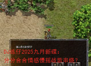 DJ����2025�����µ����ַֺϺ������ҡս�贮�գ�