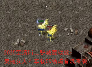 2025����Dj��¿����ս�裺����Ů�ˣ�����CD����������Ϯ