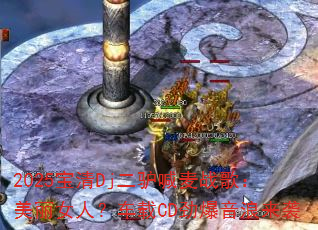 2025����Dj��¿����ս�裺����Ů�ˣ�����CD����������Ϯ