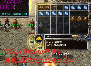 �޶�Dj����2025�������������Ϸս���������ս