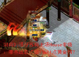 ����Dj�����պ�����House���գ���Щս���ȼ10-11��ƽ𵵣�