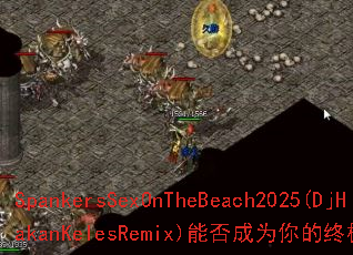 SpankersSexOnTheBeach2025(DjHakanKelesRemix)�ܷ��Ϊ����ռ���Ϸս�裿