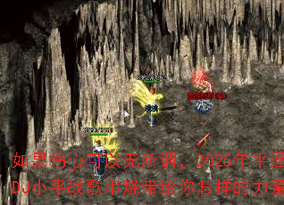 ������Ŀ�������ν��2025��ƽ̶DJСƽս�贮�մ�����������������