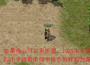 ������Ŀ�������ν��2025��ƽ̶DJСƽս�贮�մ�����������������