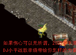 ������Ŀ�������ν��2025��ƽ̶DJСƽս�贮�մ�����������������