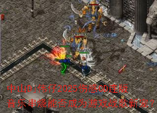 ��ɽDjΰ��2025�˸�CD�������ִ����ܷ��Ϊ��Ϸս���³裿