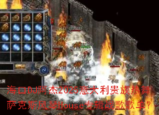 ����DJ����2025�����������������˹����Houseר��ս��赥��